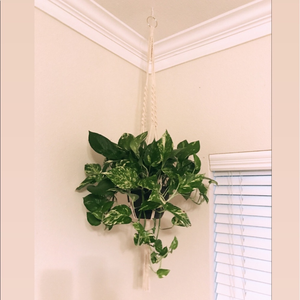 Handmade Macrame Plant Hanger - Large